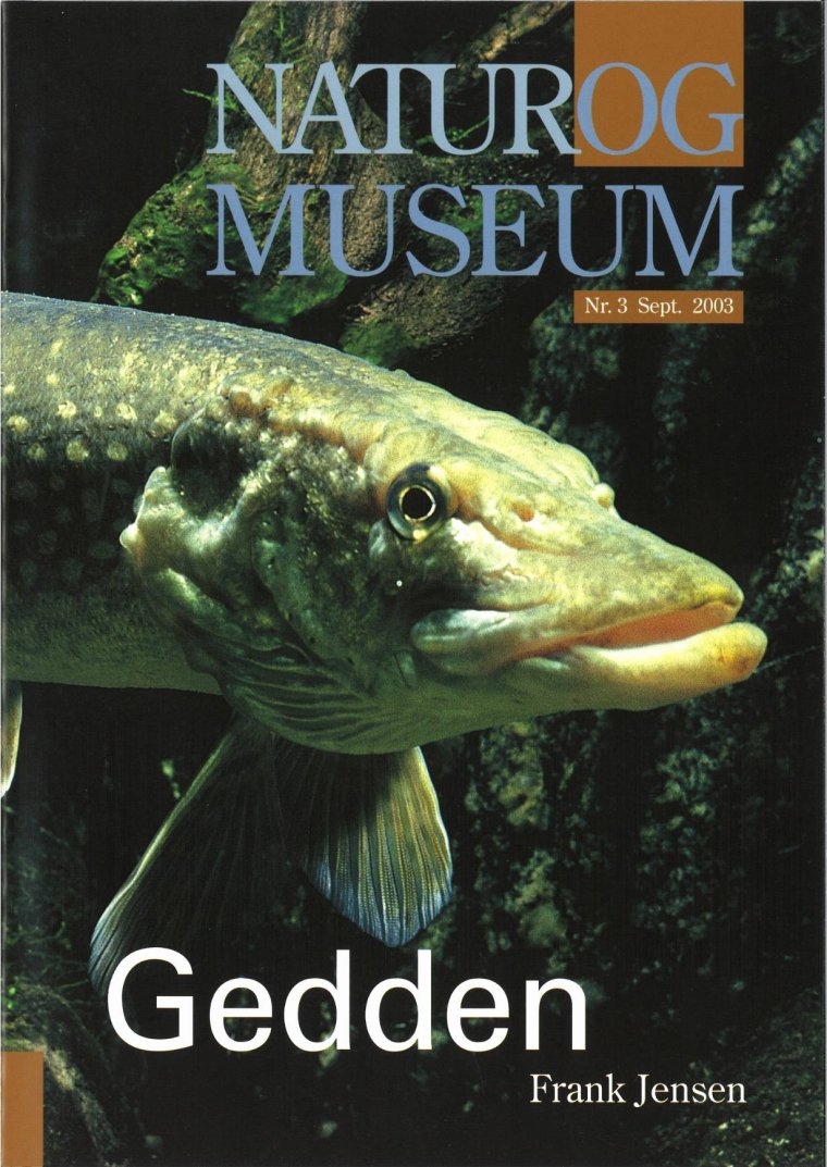 Gedden